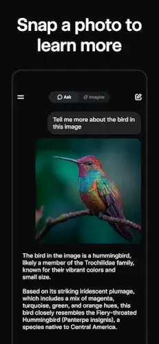 grok ai visual search identify bird