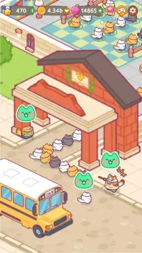 cat school stats