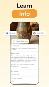 curio antique info