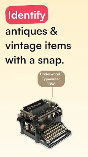 curio identify antiques